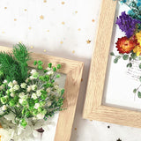 DIY 立體乾花相架相框 DIY Dried Flower Photo Frame Art Kit