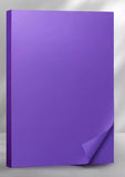 A4 80g 彩色紙 (50張) A4 80g Color Paper (50 sheets)