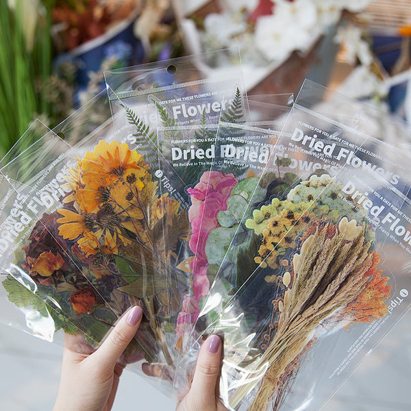 乾花貼紙 Dried Flowers Stickers