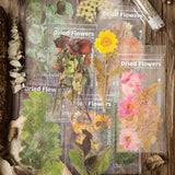 乾花貼紙 Dried Flowers Stickers